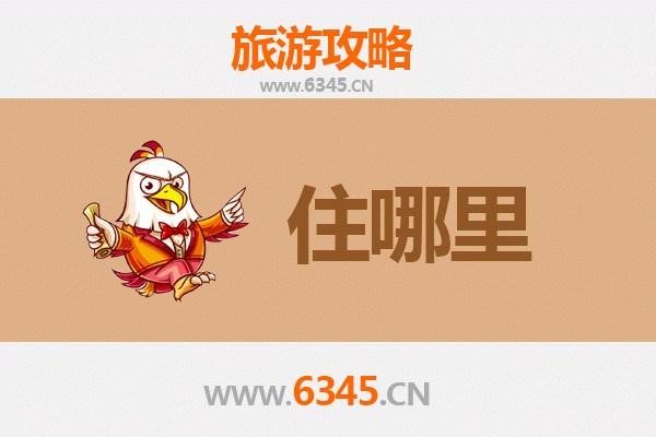 鸡西虎林旅游民宿全攻略：边城风情与生态之旅的完美驿站